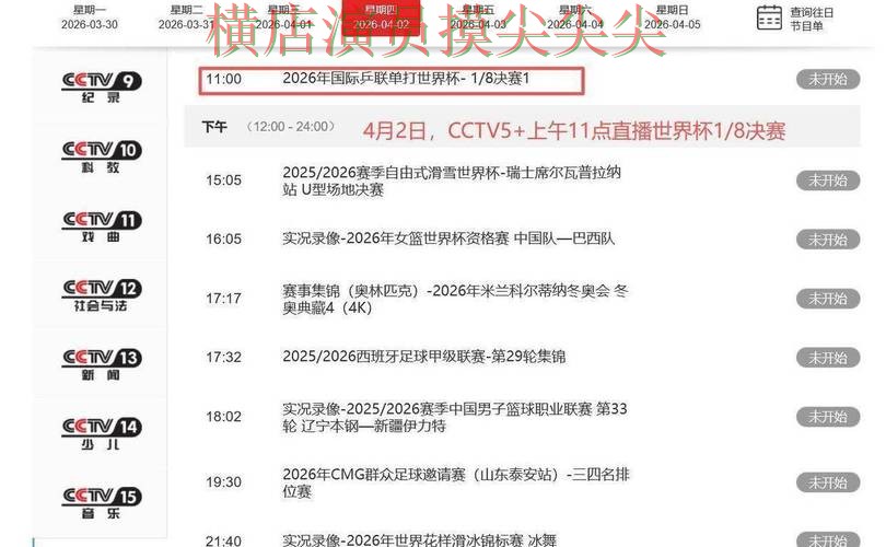 世界杯买球平台解析：用户反馈+直播全指南 - 世界杯实时直播