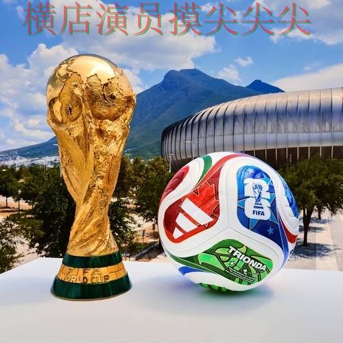 FIFA World Cup 2026来临，世界杯买球平台平台排行+直播与平台选择全面分析